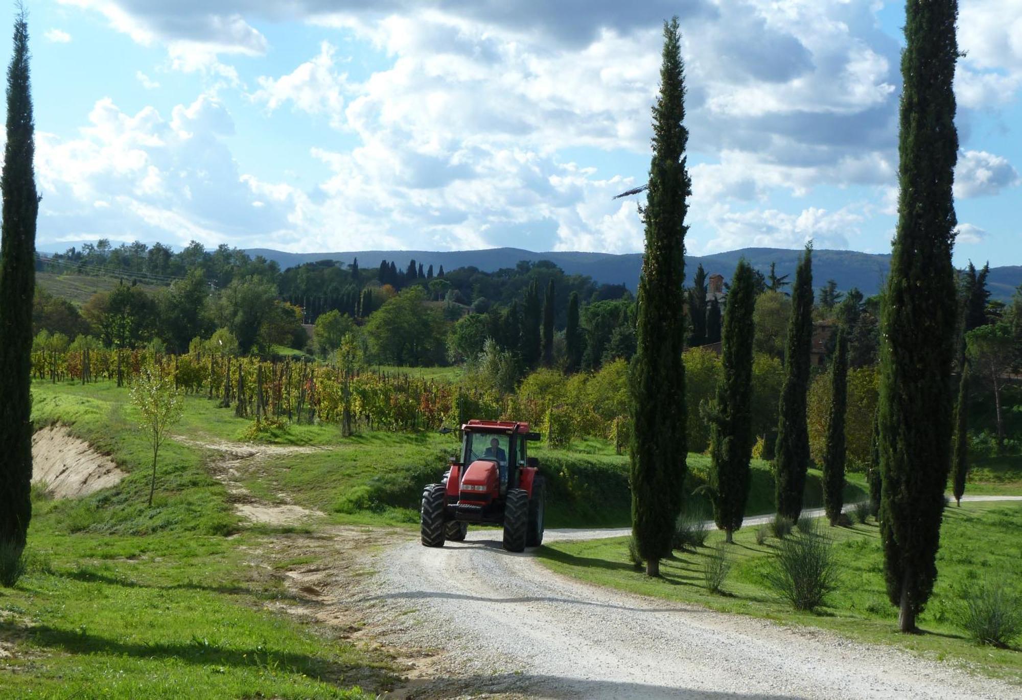 Agriturismo La Grotta Di Montecchino Siena Eksteriør billede