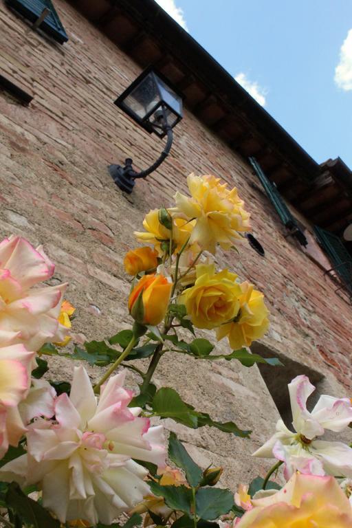 Agriturismo La Grotta Di Montecchino Siena Eksteriør billede